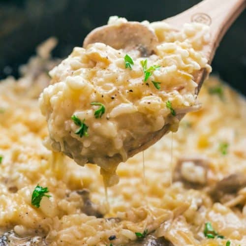 Cheesy Crock Pot Chicken and Rice Recipe