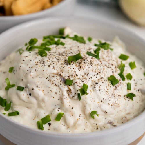 Caramelized Onion Dip