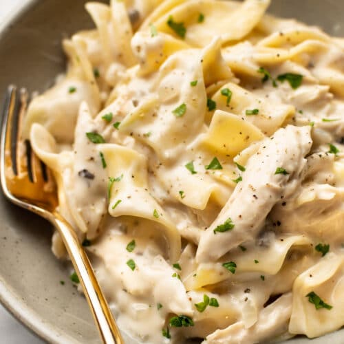 Easy One Pot Chicken and Noodles