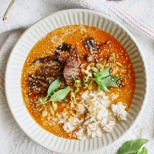 Spicy Short Rib Coconut Curry Brothy Rice Bowls